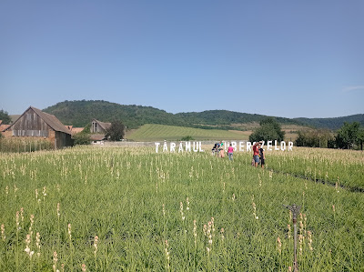 Sărbătoarea Tuberozelor din Hoghilag — fotografia 4