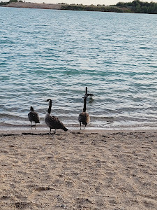 Epplesee — fotografia 5
