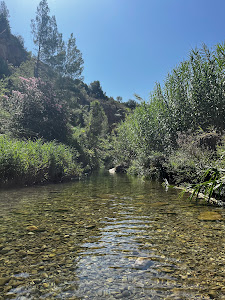 Las Toscas — fotografia 5