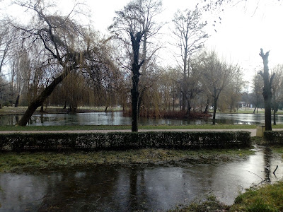 Parcul Ștrand — fotografia 3