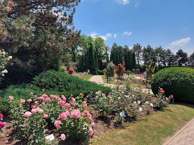 Grădina botanică "Anastasie Fătu" — fotografia 5