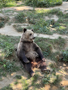 Grădina Zoologică Târgoviște — fotografia 5