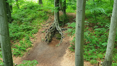 Zsivány-sziklák — fotografia 5