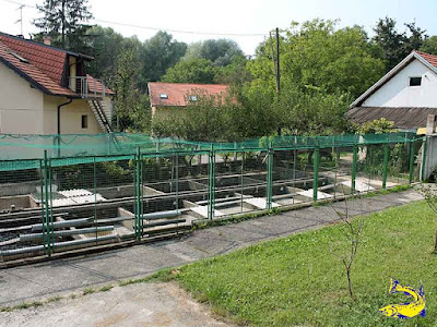 Ribnjak V.I.R.I.B.U.S. d.o.o.
