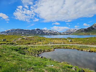Rasteplass ved Haukeli