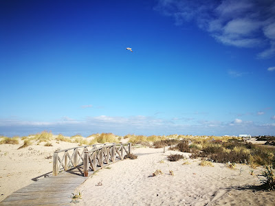 Sendero Punta del Boquerón — fotografia 4