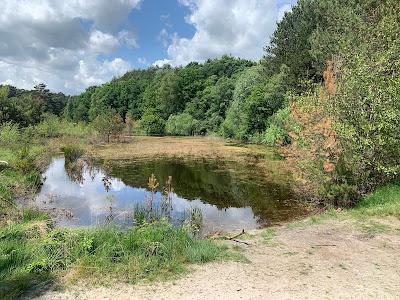 Brunssummerheide — fotografia 4