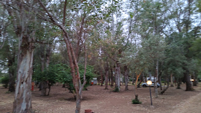 Camping Il Fico D'India — fotografia 4