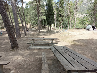 Area Recreativa El Alcázar — fotografia 3