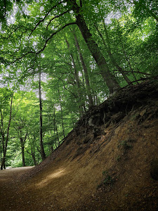 Cuha-völgyi pihenőpark és erdei tanösvény — fotografia 4