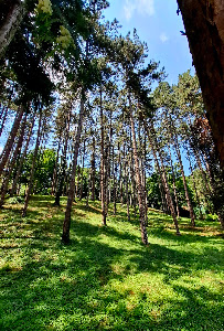 Дворска Башта — fotografia 3