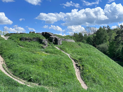 Tarnowski Castle Ruins — fotografia 5