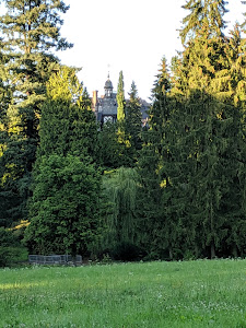 Schloss Rauischholzhausen — fotografia 5