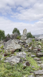 Arctic–Alpine Botanic Garden — fotografia 2