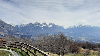 Trattoria Rifugio Carota — fotografia 3