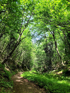 Naturalistic Area Frassineto — fotografia 4