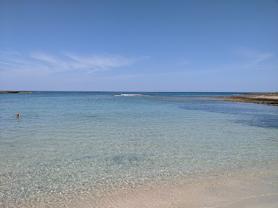 Spiaggia di Torre Guaceto — fotografia 4