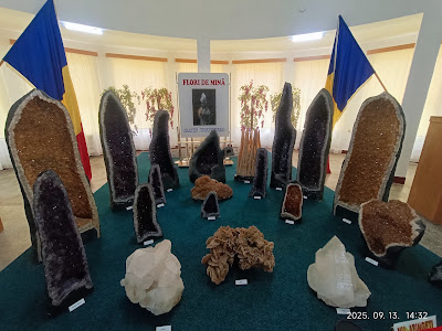 Muzeul Flori de Mină — fotografia 4