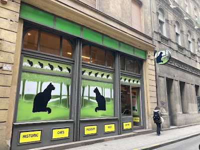 Historic Cats Museum - FREE ENTRY — fotografia 5