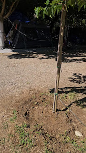 Camping Finikes