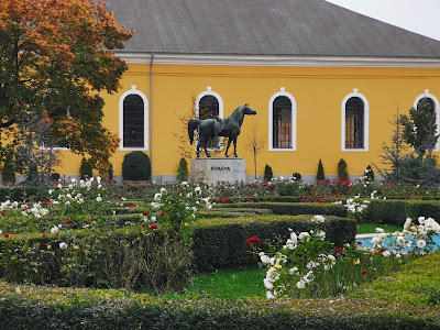 Bábolna Nemzeti Ménesbirtok — fotografia 4