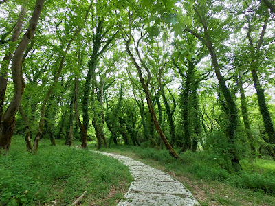 Voidomatis trail — fotografia 4