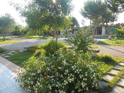 Oasi del Camperista — fotografia 5