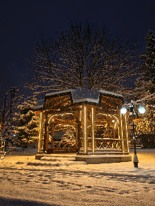 Parcul Tineretului — fotografia 3