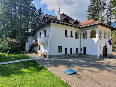 Casa Memorială “George Enescu” - Sinaia — fotografia 3