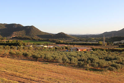 Agricampeggio Gli Ulivi — fotografia 5