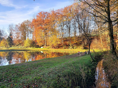 Angelpark und Fischzucht Scheid — fotografia 3