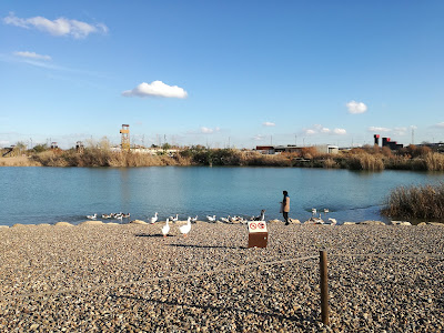 Parque Las Graveras — fotografia 5