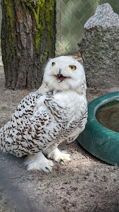 Vogelpark Viernheim — fotografia 3