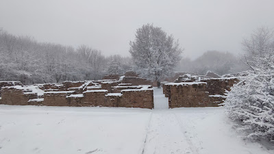 Ruins of the Pauline Monastery — fotografia 4