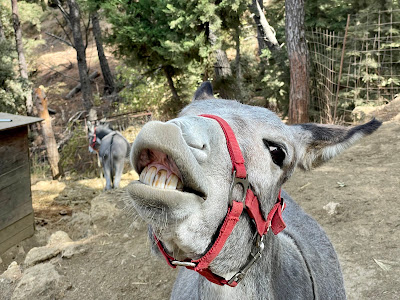 Kos Natural Park — fotografia 4