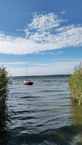 "Dzika plaża"Jezioro Miedwie Morzyczyn — fotografia 2