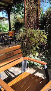 Parc Café & Bistro 🌿 — fotografia 2