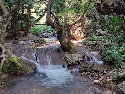Pavliani Recreation Park — fotografia 5