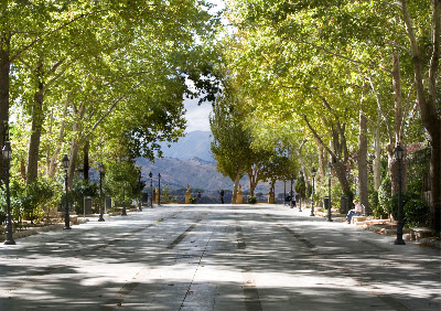 Alameda del Tajo — fotografia 3