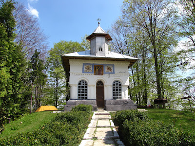 Mănăstirea Pătrunsa — fotografia 4