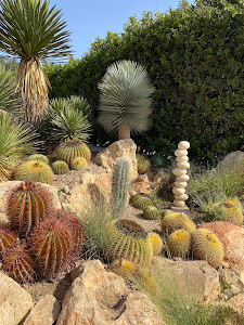 Cactus Níjar — fotografia 3