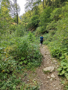Valea pârâului Scoruș — fotografia 5