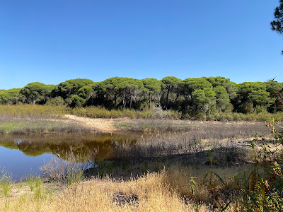 Laguna de El Portil — fotografia 3