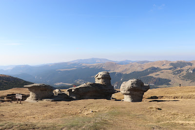 Șaua Cocora — fotografia 5