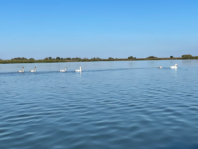 Lacul Isăccel — fotografia 3