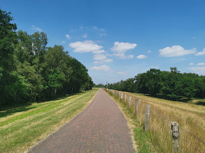 Wanderweg am Stauwerk Thülsfelder Talsperre — fotografia 5