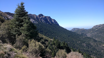 Sendero del Pinsapar — fotografia 3