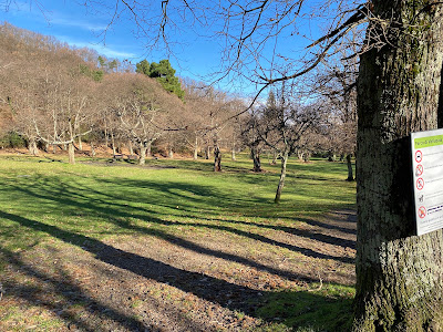 Parco attrezzato di Vallupaia