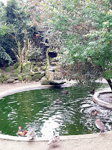Tierpark Birkenheide — fotografia 3
