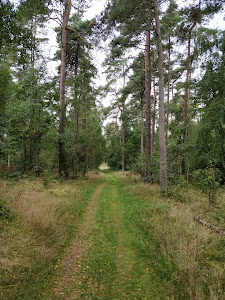 Trehøje Mols — fotografia 4